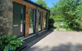 1-Bedroom Apartment Next To University